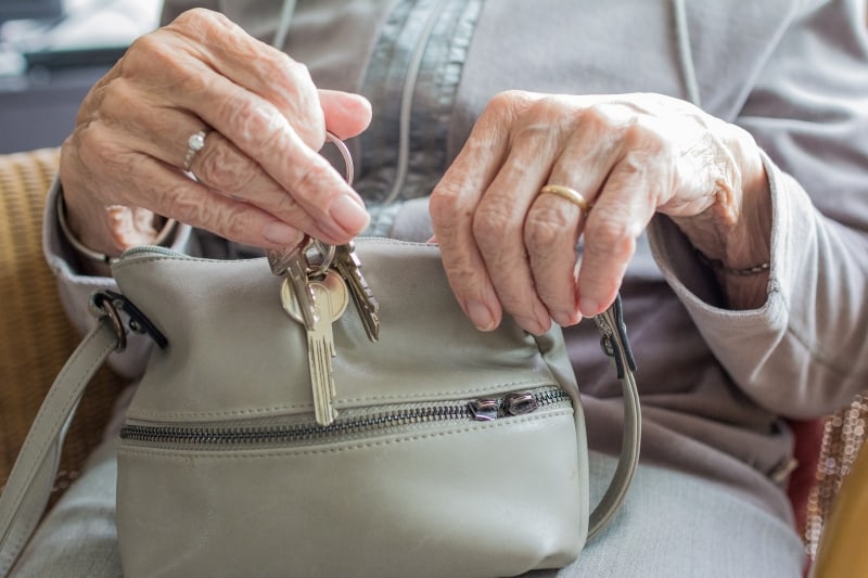 Transfers of property ownership: A system of financial abuse of the elderly?