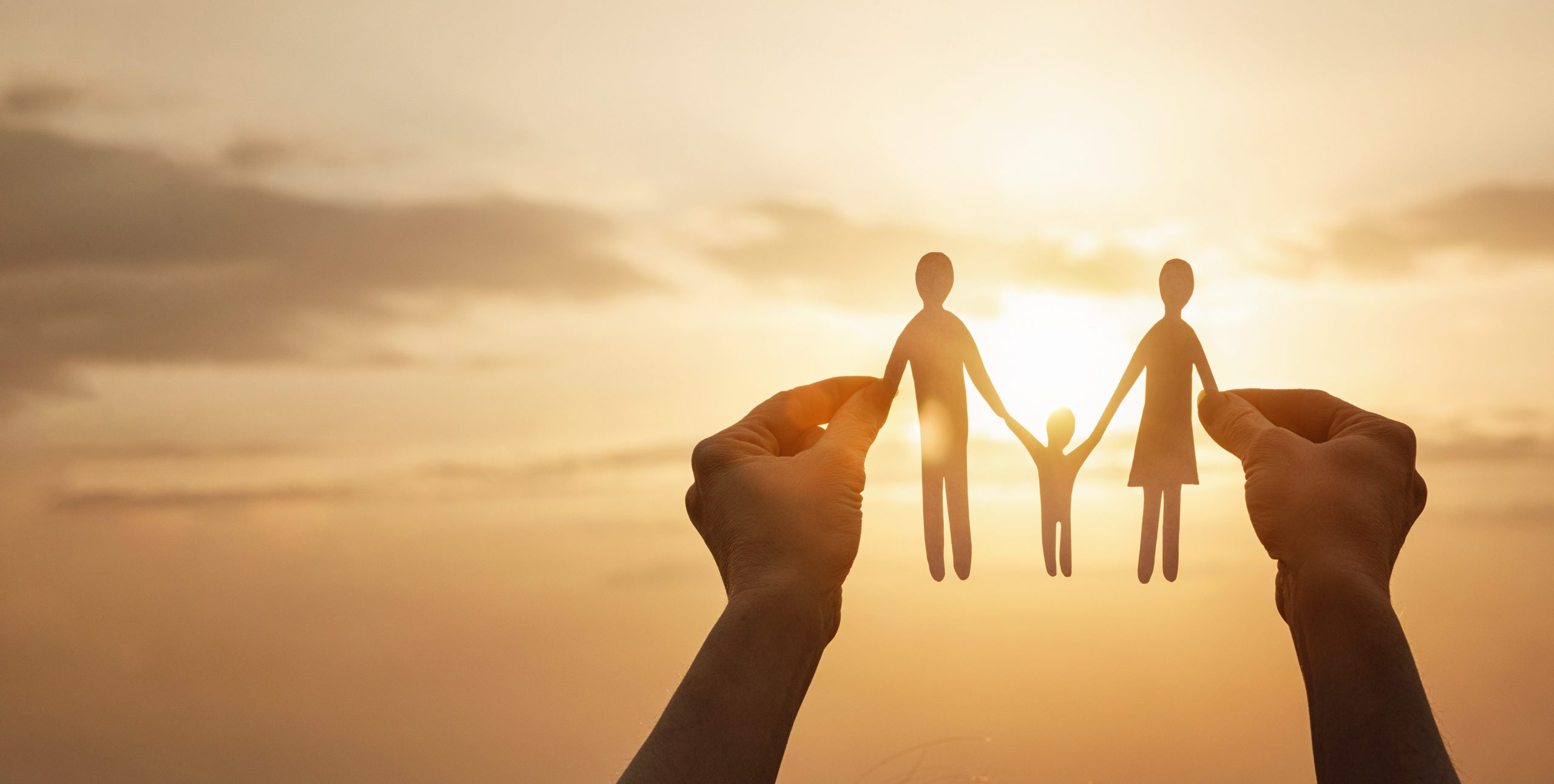 29 November 2023 | Family Hybrid Seminar Series | Public Law